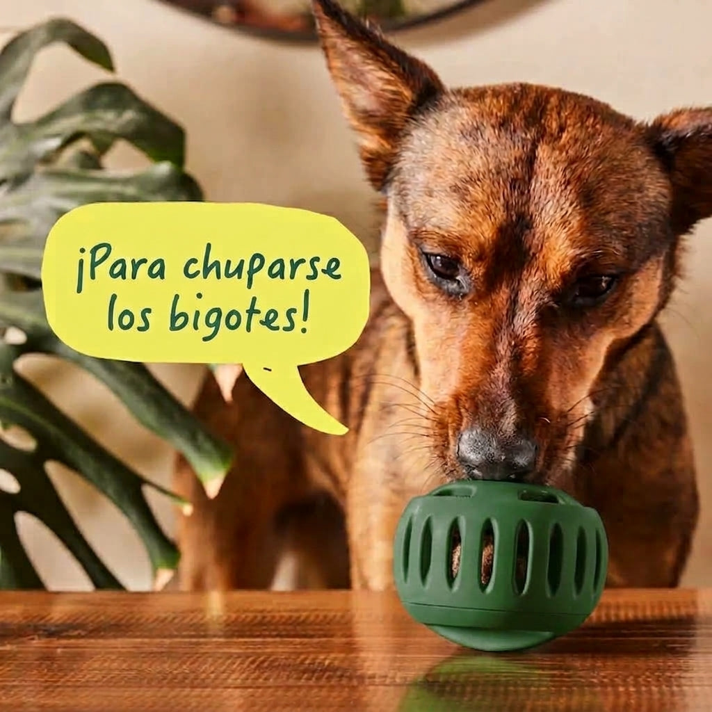 PremiDog 2X1